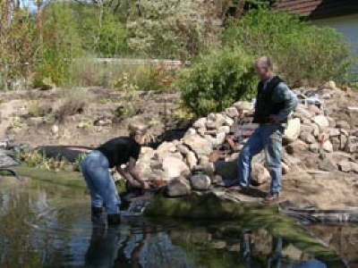 schwimmteich selbst bau Schwimmteich Kosten Preis