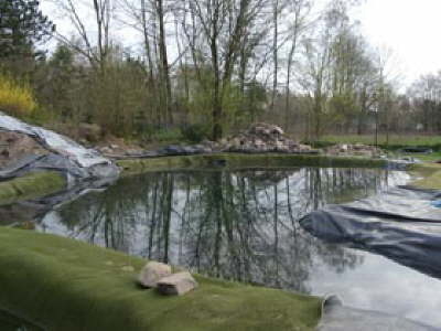 Schwimmteich Bild Schwimmteich Bilder Rand Schwimmteich Bild Schwimmteich Bilder Rand