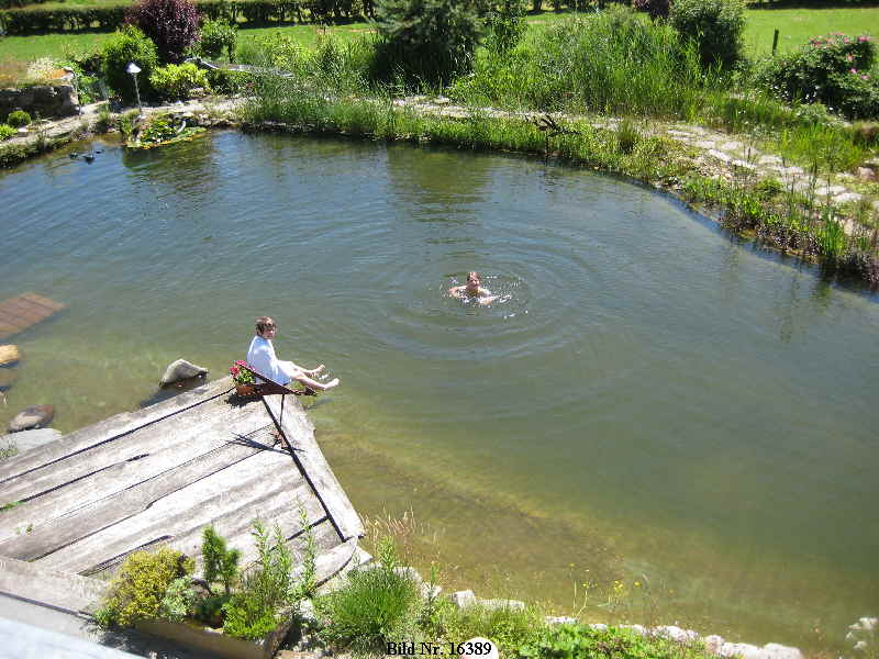 Bild Schwimmteich Spa1