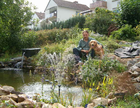 Schwimmteich im Garten planen