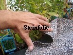 Steinfolie