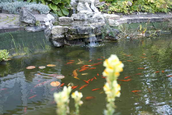 a_Garten1