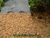 Steinfolie Bunt f�r Rand oder Bachlauf  zum Schwimmteich