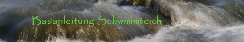 Schwimmteich selber bauen Schwimmteich bau  Bauanleitung