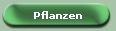 Pflanzen