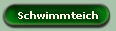 Schwimmteich