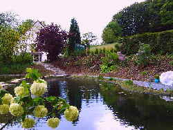 Bild-Schwimmteich-in-ruhiger-Lage