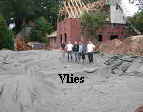 Vlies03