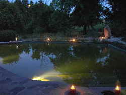 a_Garten2