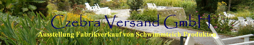 Schwimmteich selbst bauen