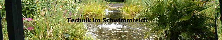 Technik im Schwimmteich