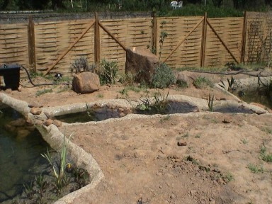 Schwimmteich selber bauen Bauanleitung Schwimmteich bau