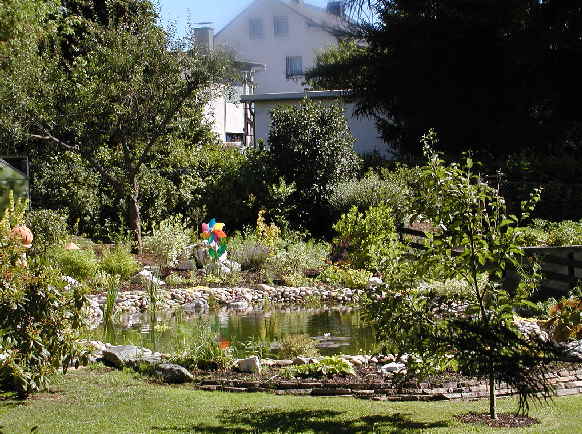 Schwimmteich selber bauen Bauanleitung Schwimmteich bau