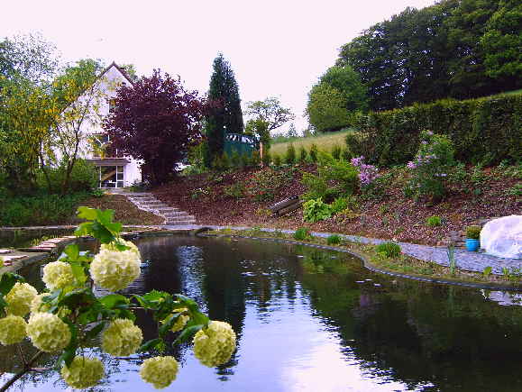 Schwimmteich im Garten